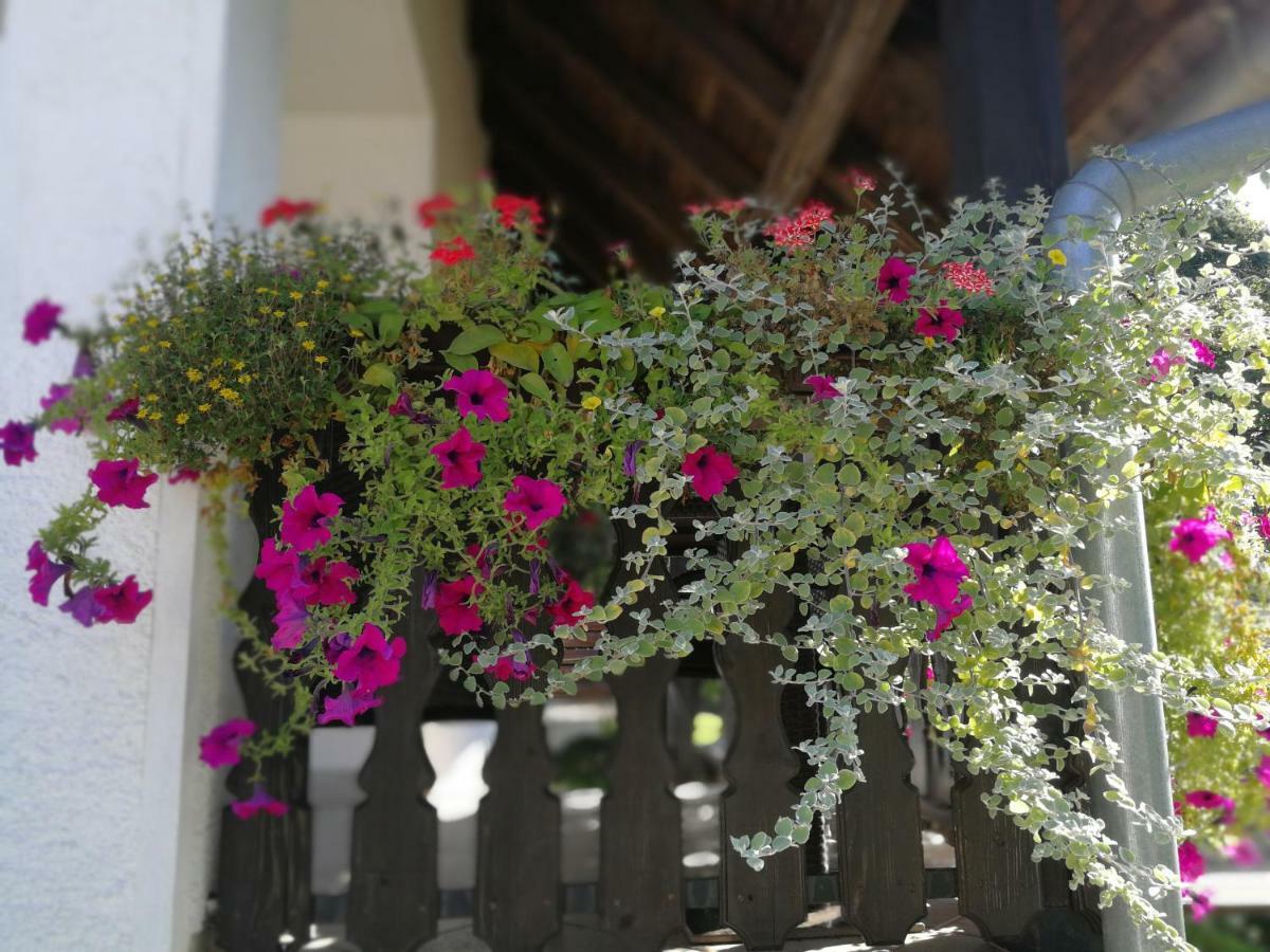 Guest House Stefanija Poljanak Kültér fotó